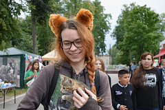 Ищете хвостатого друга? Приходите в Измайловский парк!