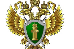«Расследование обстоятельств аварии, в результате которой пострадал ребенок, на контроле в прокуратуре округа.