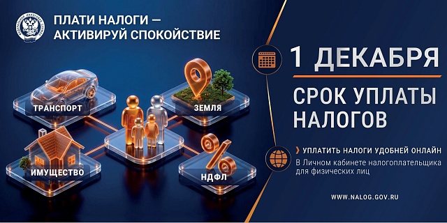 До 1 декабря срок уплаты налогов! 