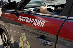 Безопасность футбольного матча на московском стадионе обеспечила Росгвардия