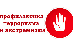 Как избежать вовлечения подростков в секты, экстремистские и террористические организации